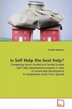 Is Self Help the best help?