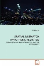 Spatial Mismatch Hypothesis Revisited