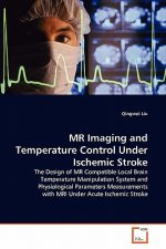 MR Imaging and Temperature Control Under Ischemic Stroke