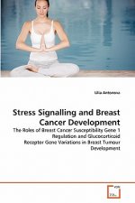 Stress Signalling and Breast Cancer Development