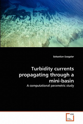 Turbidity currents propagating through a mini-basin