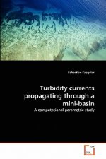 Turbidity currents propagating through a mini-basin