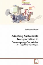 Adopting Sustainable Transportation in Developing Countries