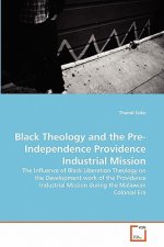 Black Theology and the Pre-Independence Providence Industrial Mission