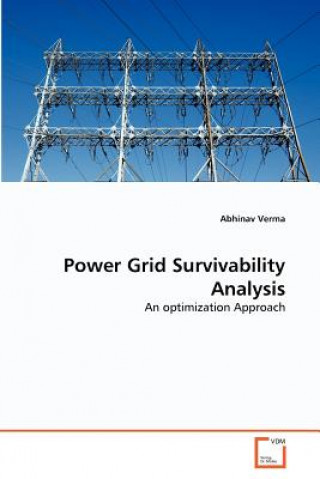 Power Grid Survivability Analysis
