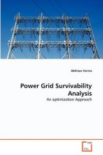 Power Grid Survivability Analysis