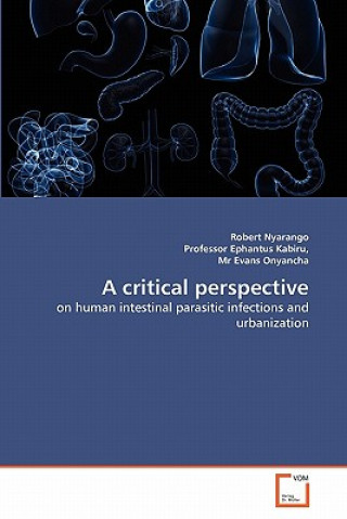 critical perspective