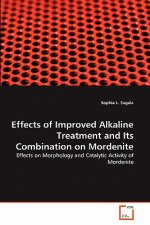 Effects of Improved Alkaline Treatment and Its Combination on Mordenite