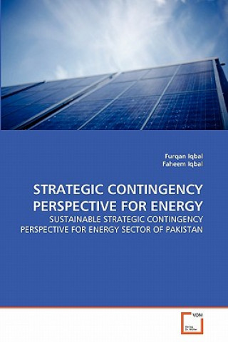 Strategic Contingency Perspective for Energy