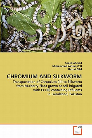Chromium and Silkworm