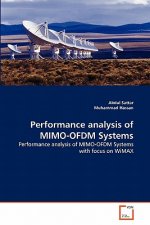Performance analysis of MIMO-OFDM Systems