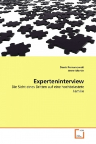 Experteninterview