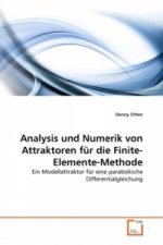 Analysis und Numerik von Attraktoren für die Finite-Elemente-Methode