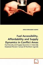 Fuel Accessibility, Affordability and Supply Dynamics in Conflict Areas