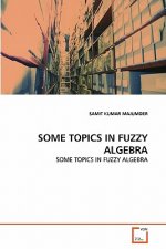 Some Topics in Fuzzy Algebra