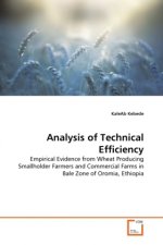 Analysis of Technical Efficiency