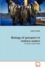 Biology of groupers in inshore waters