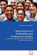 Determinants of Profitability and Productivity Analysis