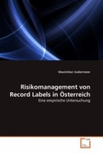 Risikomanagement von Record Labels in Österreich