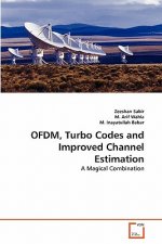OFDM, Turbo Codes and Improved Channel Estimation