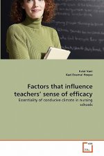Factors that influence teachers' sense of efficacy