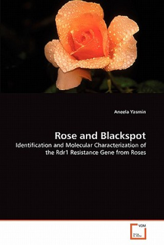 Rose and Blackspot