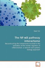 NF-κB pathway interactome