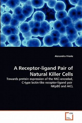 Receptor-ligand Pair of Natural Killer Cells