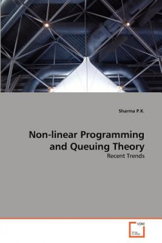 Non-linear Programming and Queuing Theory