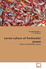 Larval culture of freshwater prawn