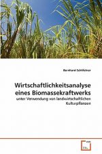 Wirtschaftlichkeitsanalyse eines Biomassekraftwerks