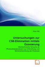 Untersuchungen zur CSB-Elimination mittels Ozonierung