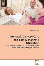 Antenatal, Delivery Care and Family Planning Utilization