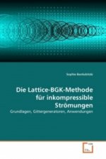 Die Lattice-BGK-Methode für inkompressible Strömungen