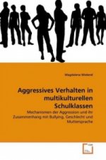 Aggressives Verhalten in multikulturellen Schulklassen