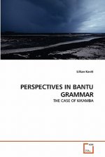Perspectives in Bantu Grammar