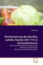 Positionierung des Bacillus subtilis Stamm QST 713 in Gemüsekulturen