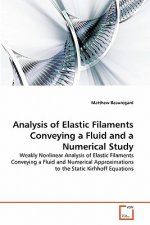Analysis of Elastic Filaments Conveying a Fluid and a Numerical Study
