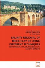 Salinity Removal of Brick Clay by Using Different Techniques