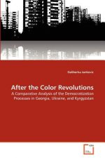 After the Color Revolutions