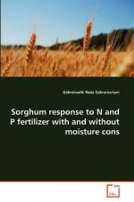 Sorghum response to N and P fertilizer with and without moisture cons