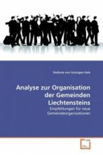 Analyse zur Organisation der Gemeinden Liechtensteins