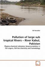 Pollution of large sub tropical Rivers - River Kabul, Pakistan