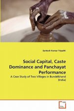 Social Capital, Caste Dominance and Panchayat Performance