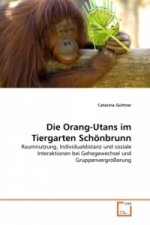 Die Orang-Utans im Tiergarten Schönbrunn