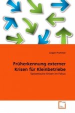 Früherkennung externer Krisen für Kleinbetriebe