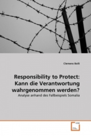 Responsibility to Protect: Kann die Verantwortung wahrgenommen werden?