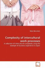 Complexity of intercultural work processes