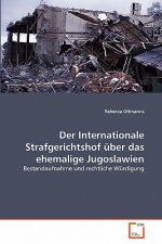 Internationale Strafgerichtshof uber das ehemalige Jugoslawien