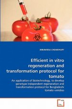 Efficient in vitro regeneration and transformation protocol for tomato